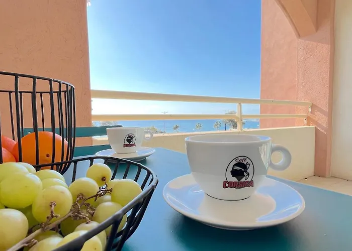 Apartment Superbe Pieds Dans L'eau - Parking Gratuit - Terrasse - Emplacement Ideal Dans De Standing Ajaccio (Corsica)